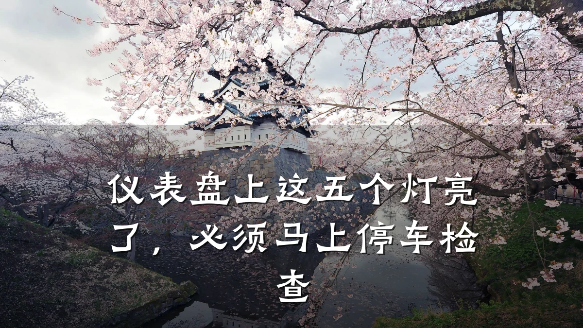 仪表盘上这五个灯亮了,必须马上停车检查