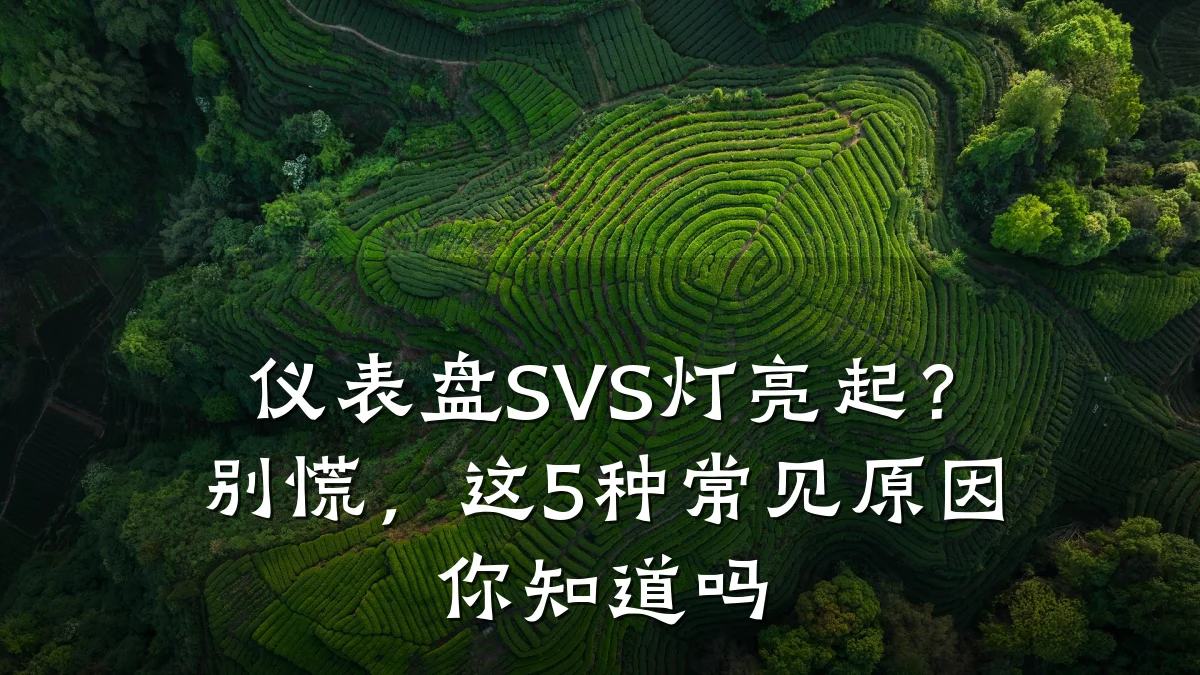 仪表盘SVS灯亮起?别慌,这5种常见原因你知道吗