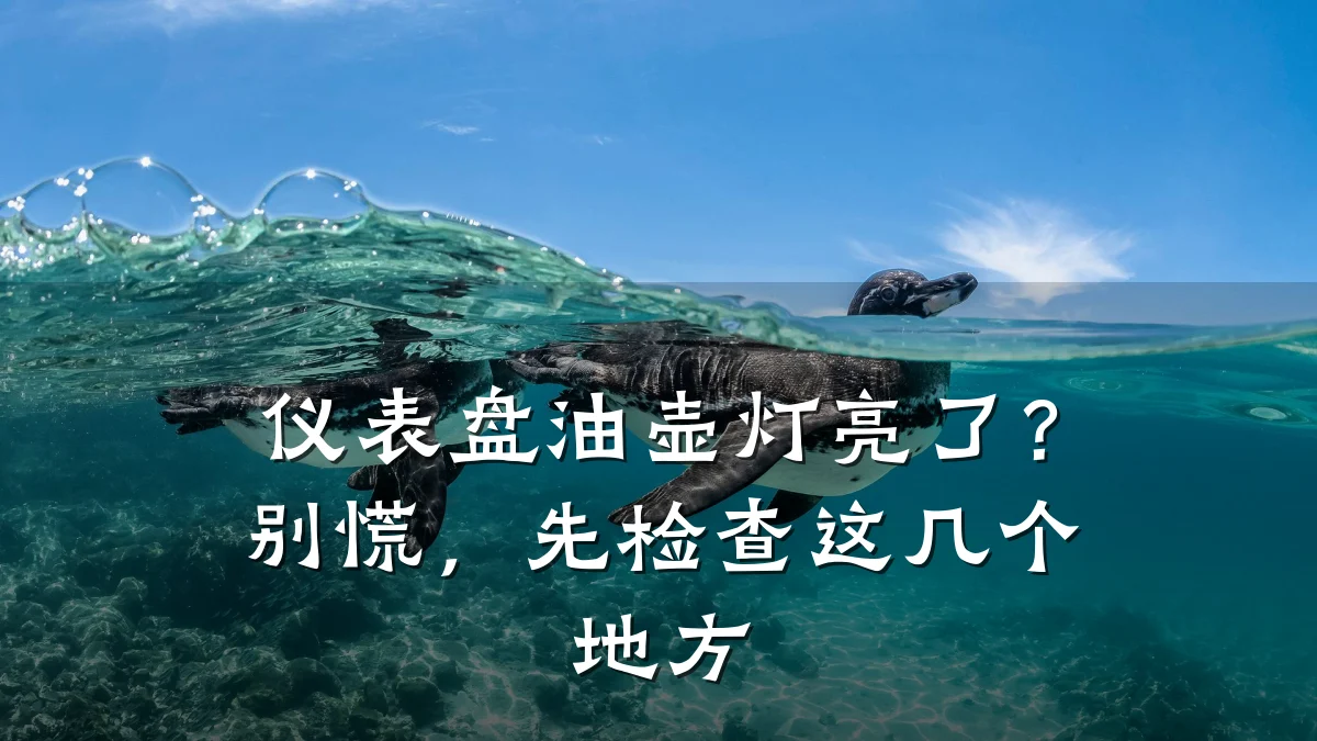 仪表盘油壶灯亮了?别慌,先检查这几个地方