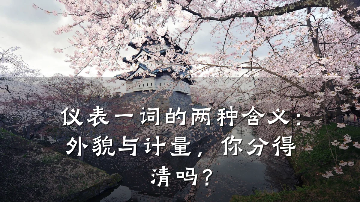 仪表一词的两种含义:外貌与计量,你分得清吗?