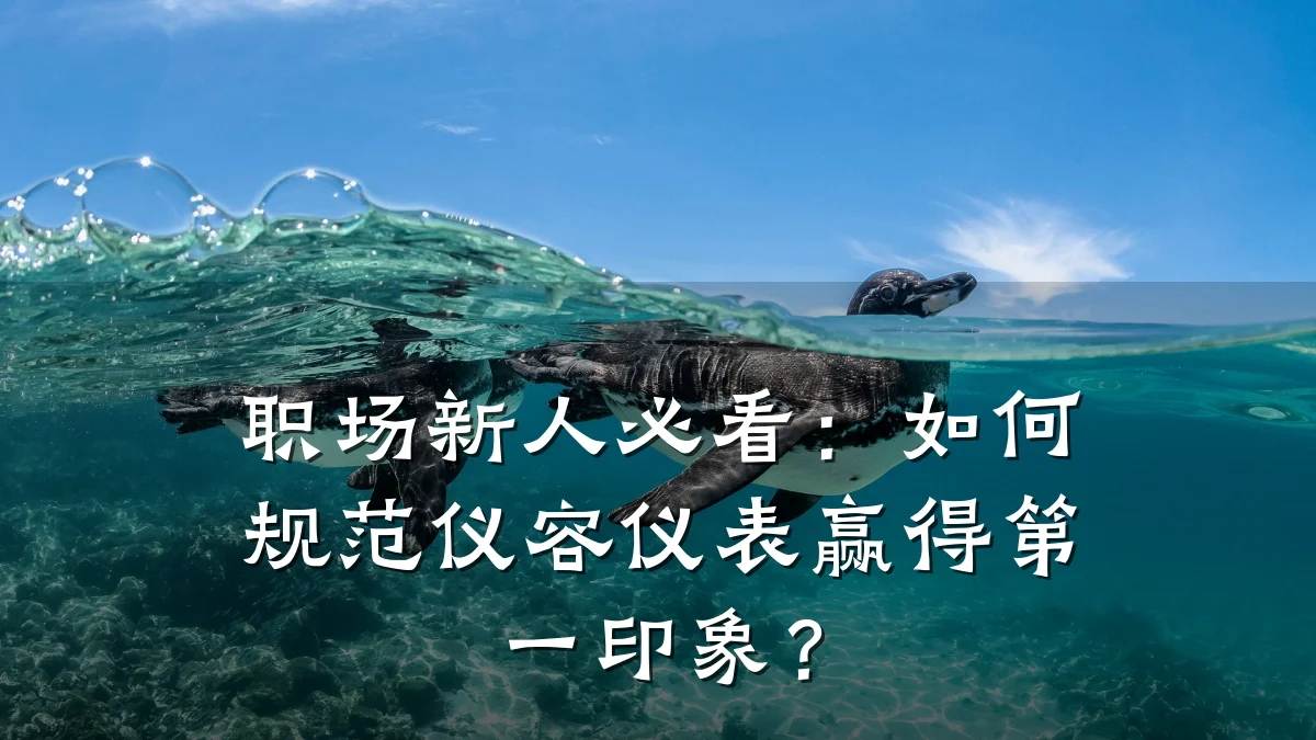 职场新人必看:如何规范仪容仪表赢得第一印象?