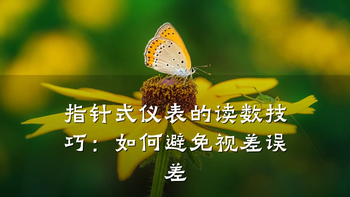 指针式仪表的读数技巧:如何避免视差误差