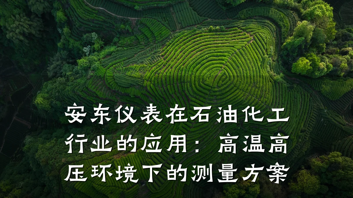安东仪表在石油化工行业的应用:高温高压环境下的测量方案