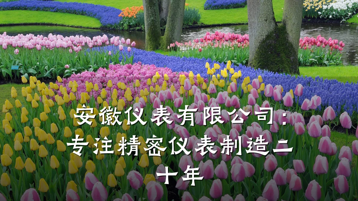 安徽仪表有限公司:专注精密仪表制造二十年