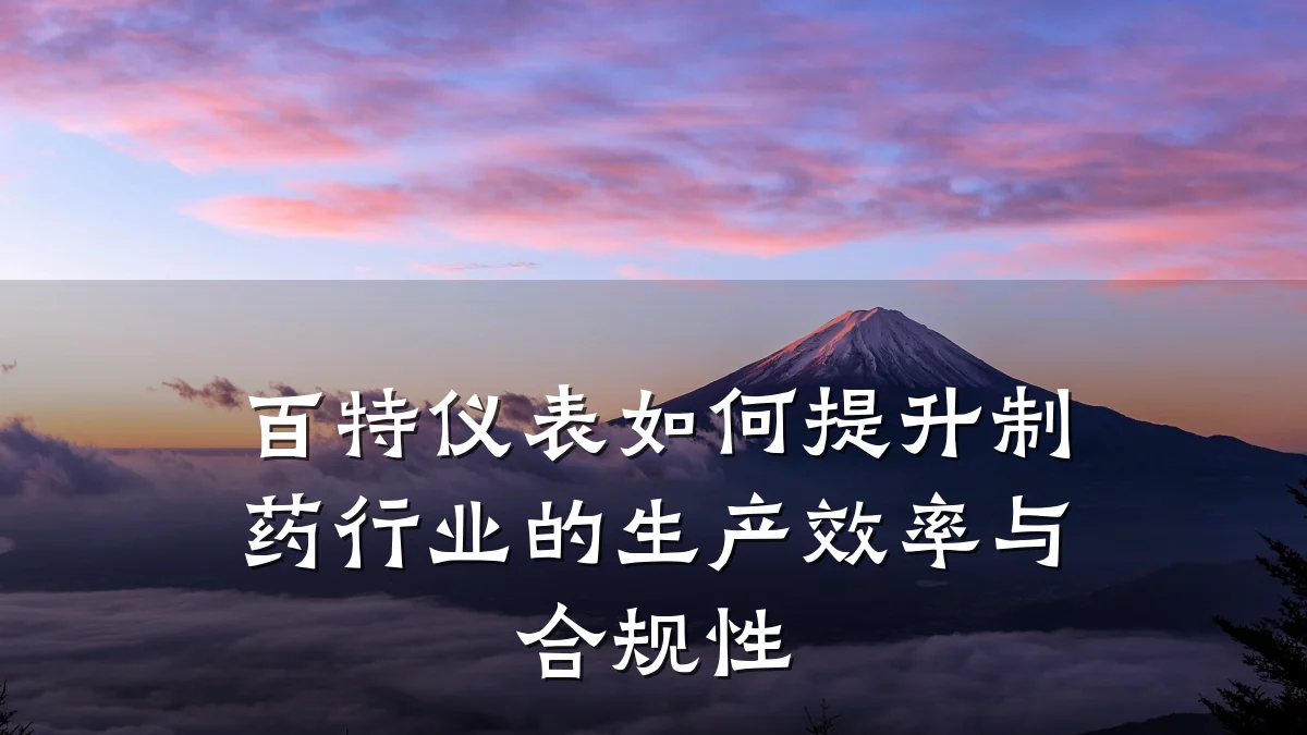 百特仪表如何提升制药行业的生产效率与合规性