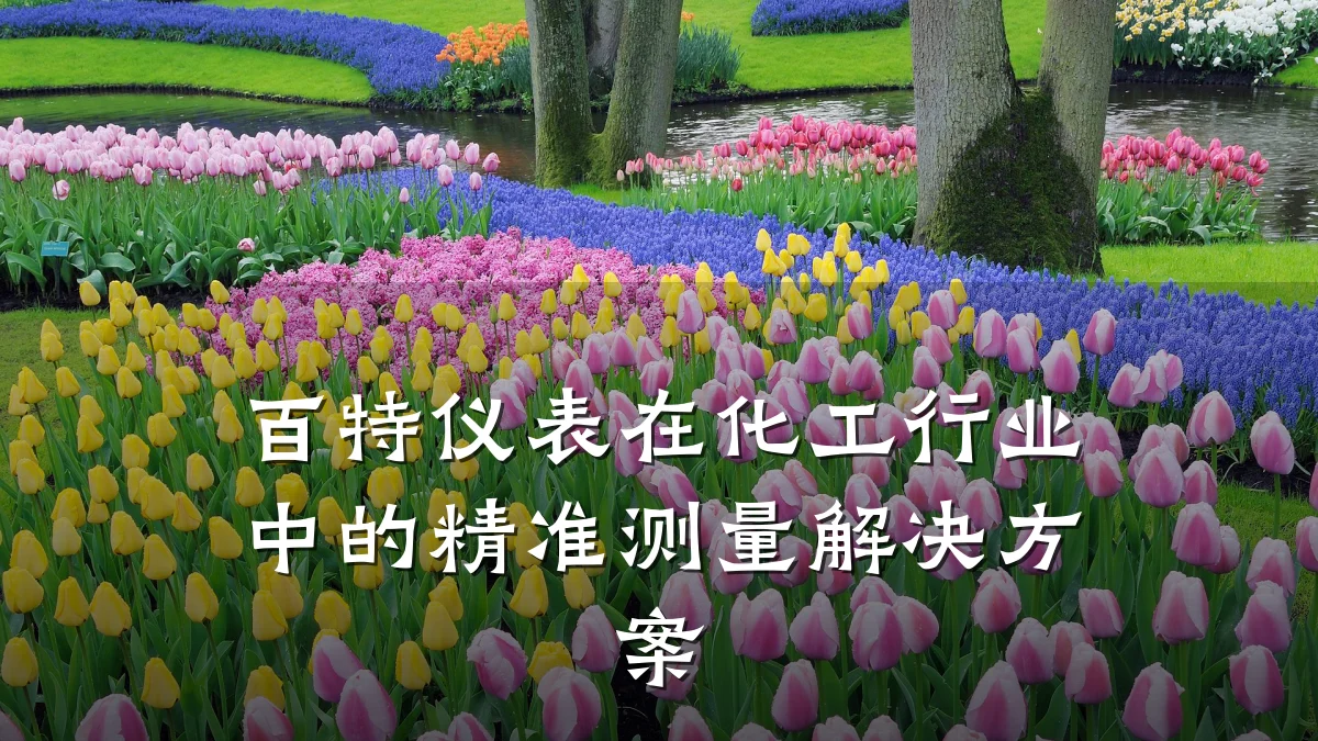 百特仪表在化工行业中的精准测量解决方案