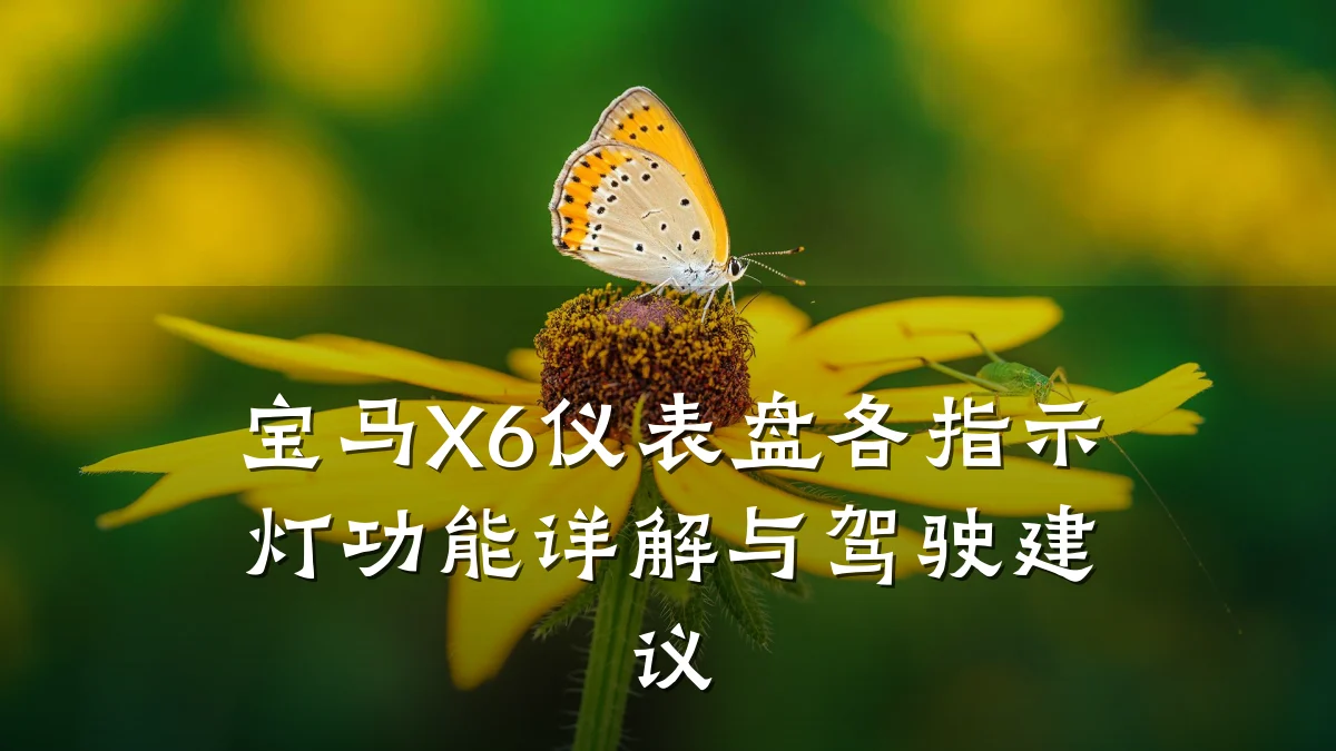 宝马X6仪表盘各指示灯功能详解与驾驶建议