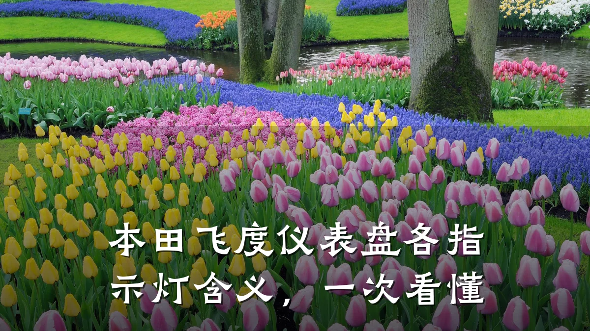 本田飞度仪表盘各指示灯含义,一次看懂