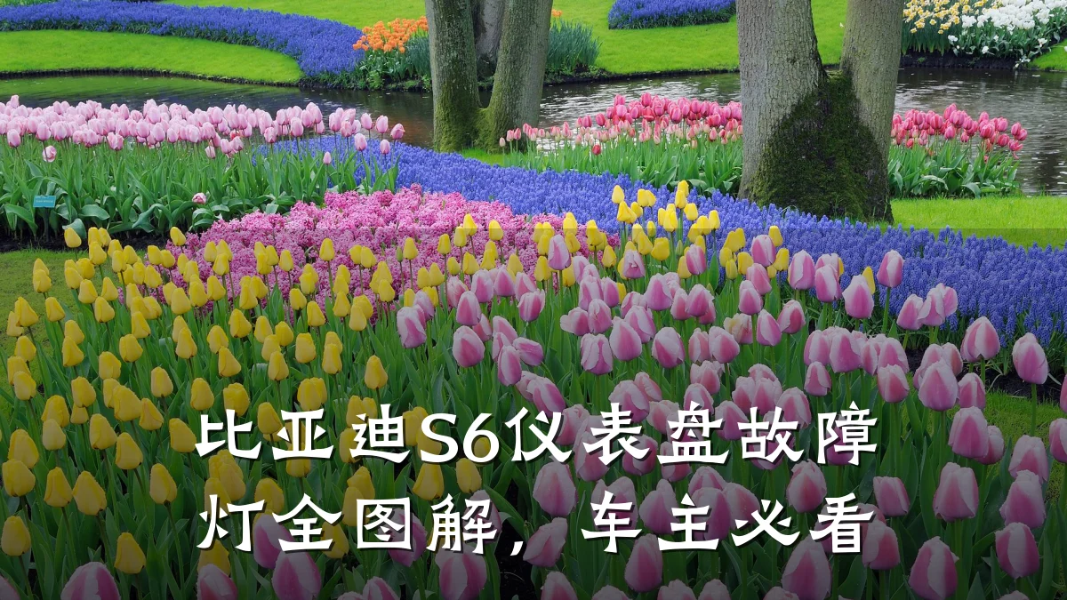 比亚迪S6仪表盘故障灯全图解，车主必看