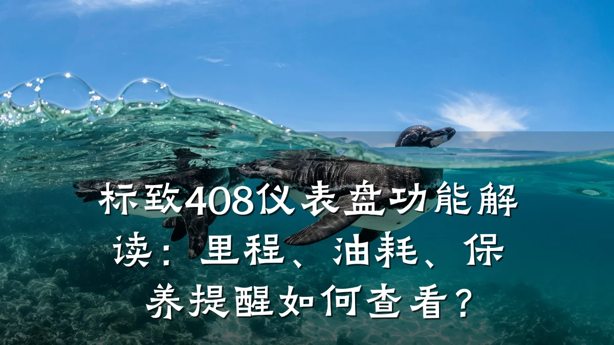 标致408仪表盘功能解读：里程、油耗、保养提醒如何查看？