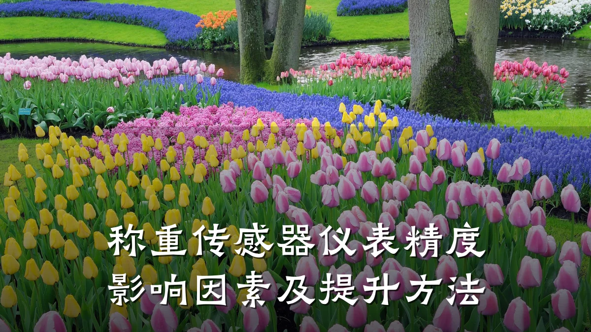 称重传感器仪表精度影响因素及提升方法
