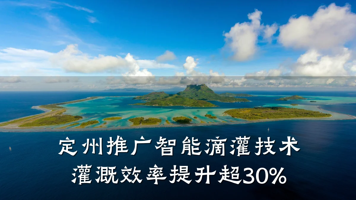 定州推广智能滴灌技术 灌溉效率提升超30%