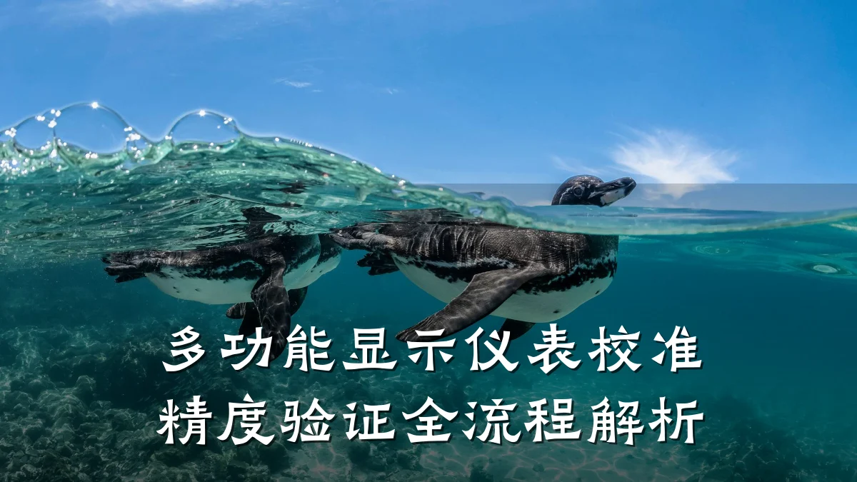 多功能显示仪表校准精度验证全流程解析