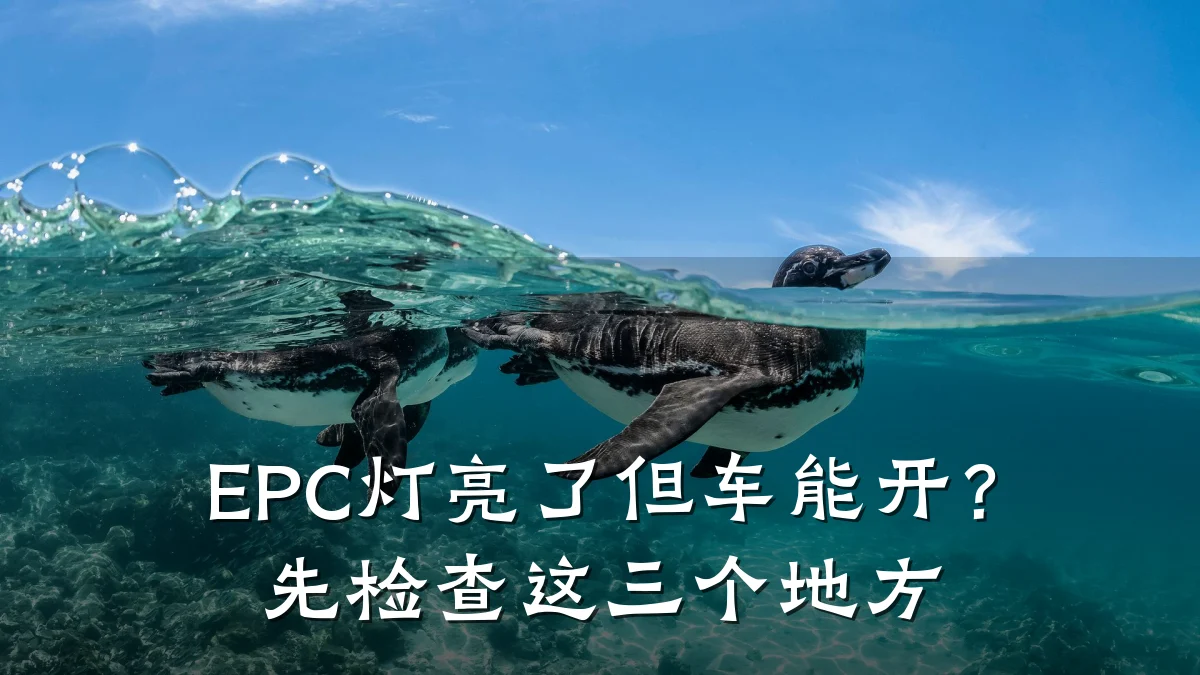 EPC灯亮了但车能开?先检查这三个地方