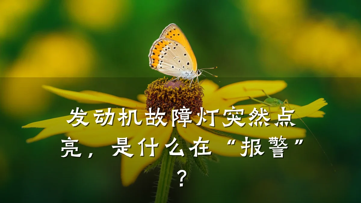 发动机故障灯突然点亮,是什么在“报警”?