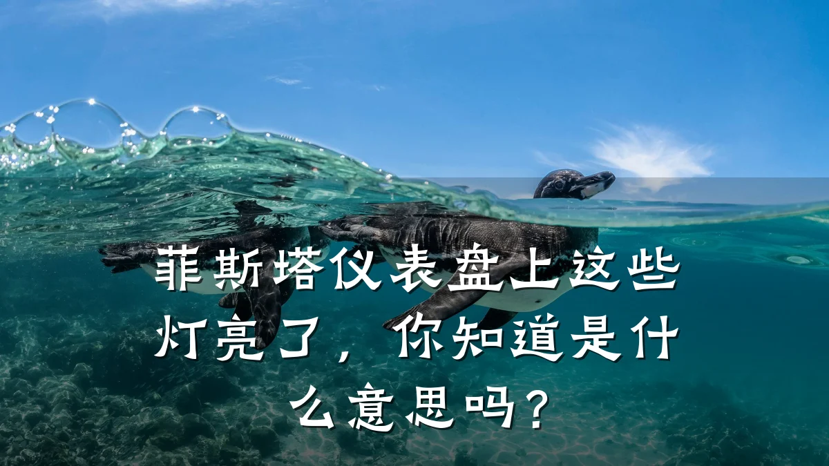 菲斯塔仪表盘上这些灯亮了，你知道是什么意思吗？