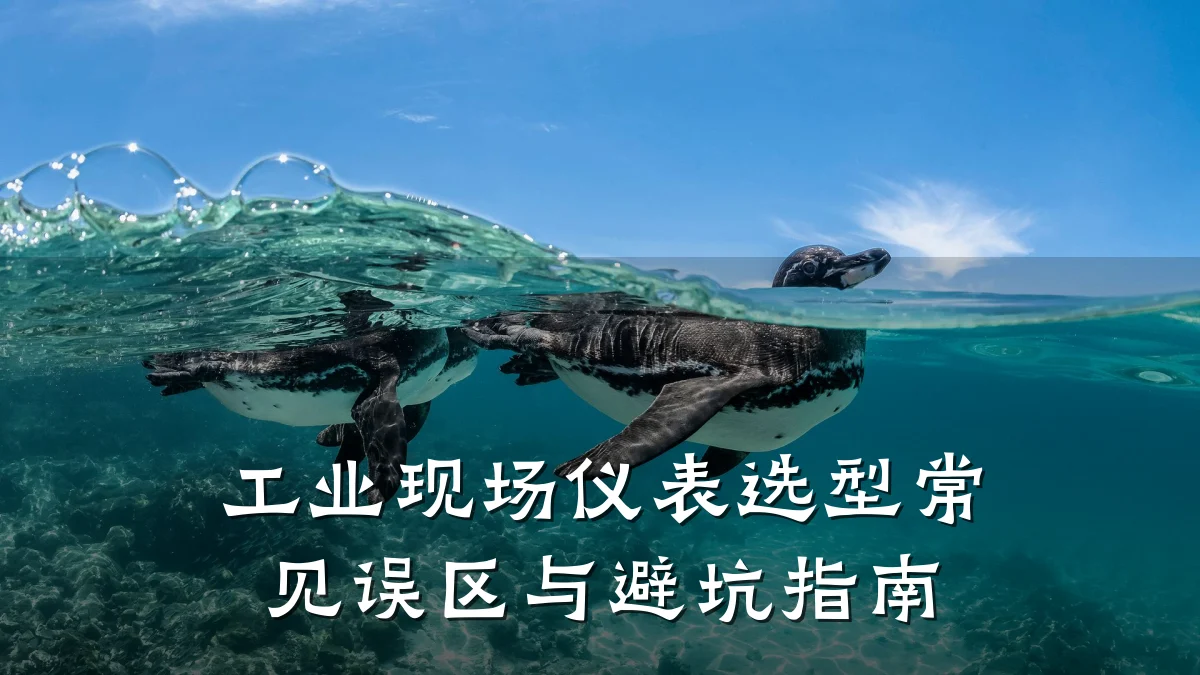 工业现场仪表选型常见误区与避坑指南