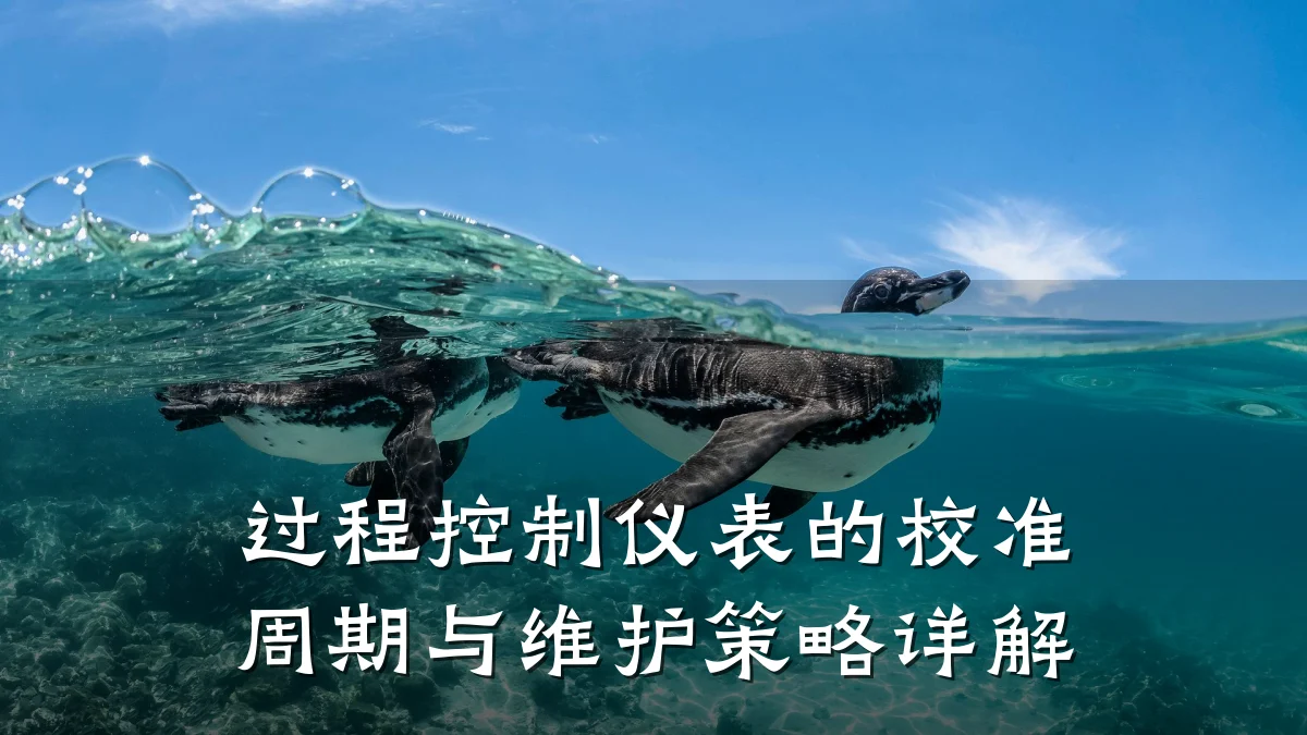 过程控制仪表的校准周期与维护策略详解