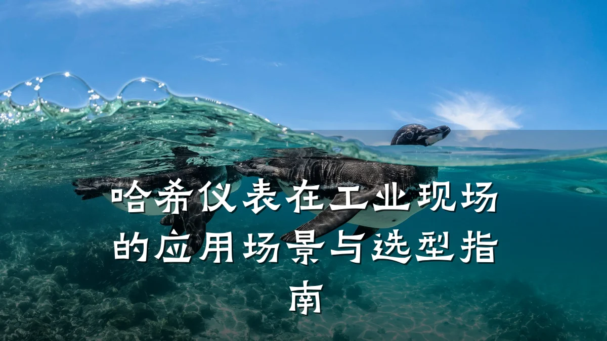 哈希仪表在工业现场的应用场景与选型指南