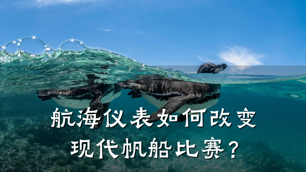 航海仪表如何改变现代帆船比赛？