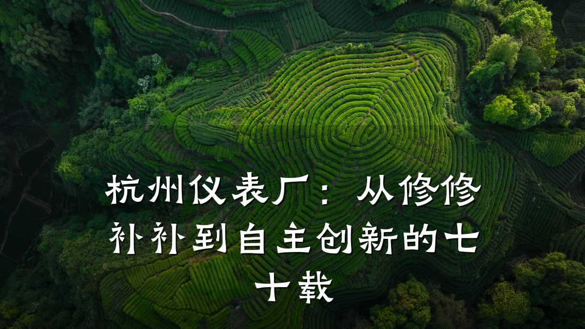杭州仪表厂：从修修补补到自主创新的七十载