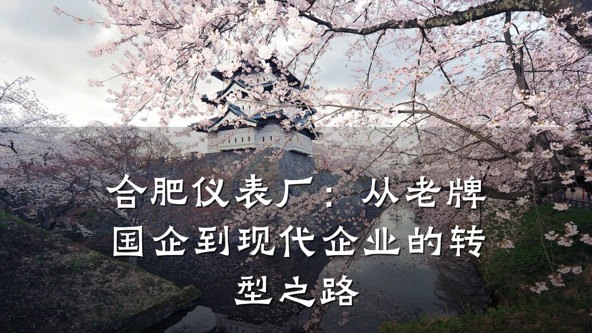 合肥仪表厂：从老牌国企到现代企业的转型之路