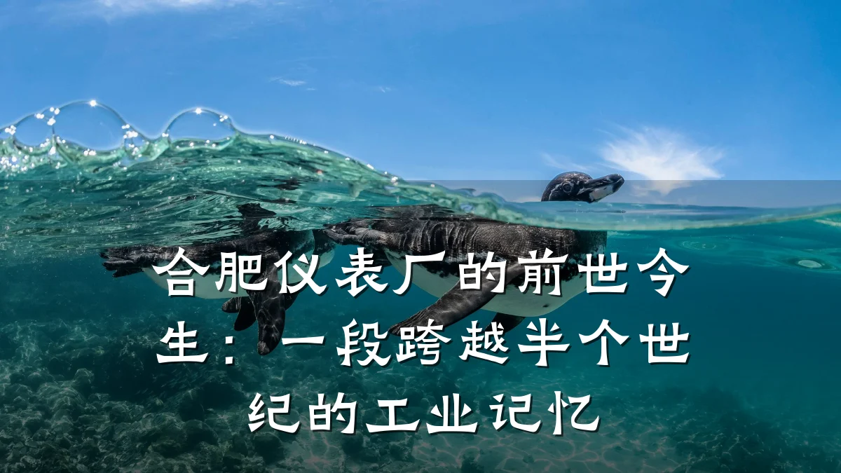 合肥仪表厂的前世今生：一段跨越半个世纪的工业记忆