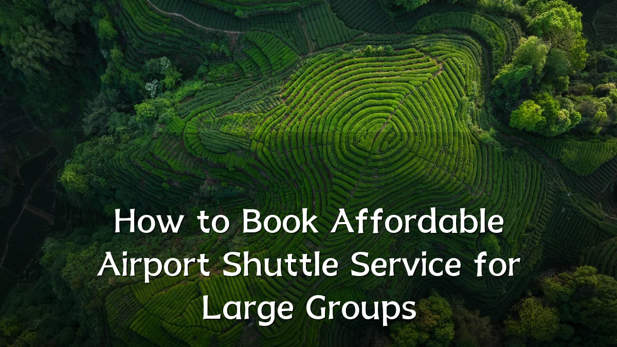 How to Book Affordable Airport Shuttle Service for Large Groups