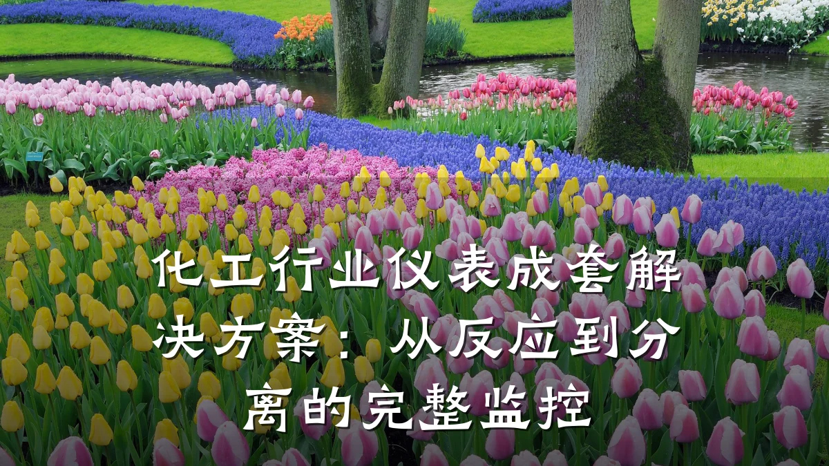 化工行业仪表成套解决方案:从反应到分离的完整监控