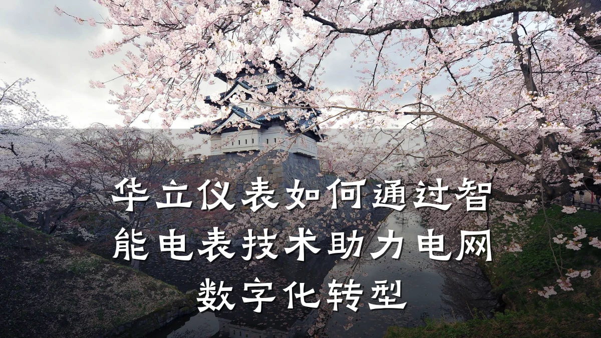 华立仪表如何通过智能电表技术助力电网数字化转型