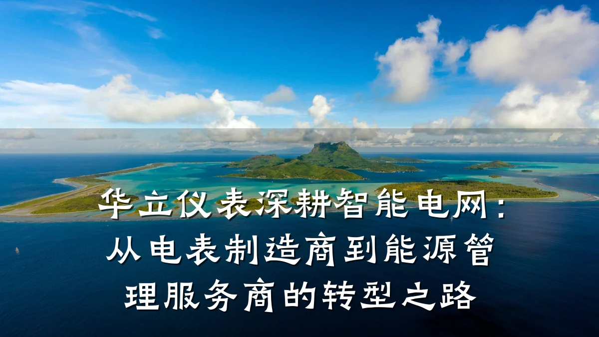 华立仪表深耕智能电网：从电表制造商到能源管理服务商的转型之路
