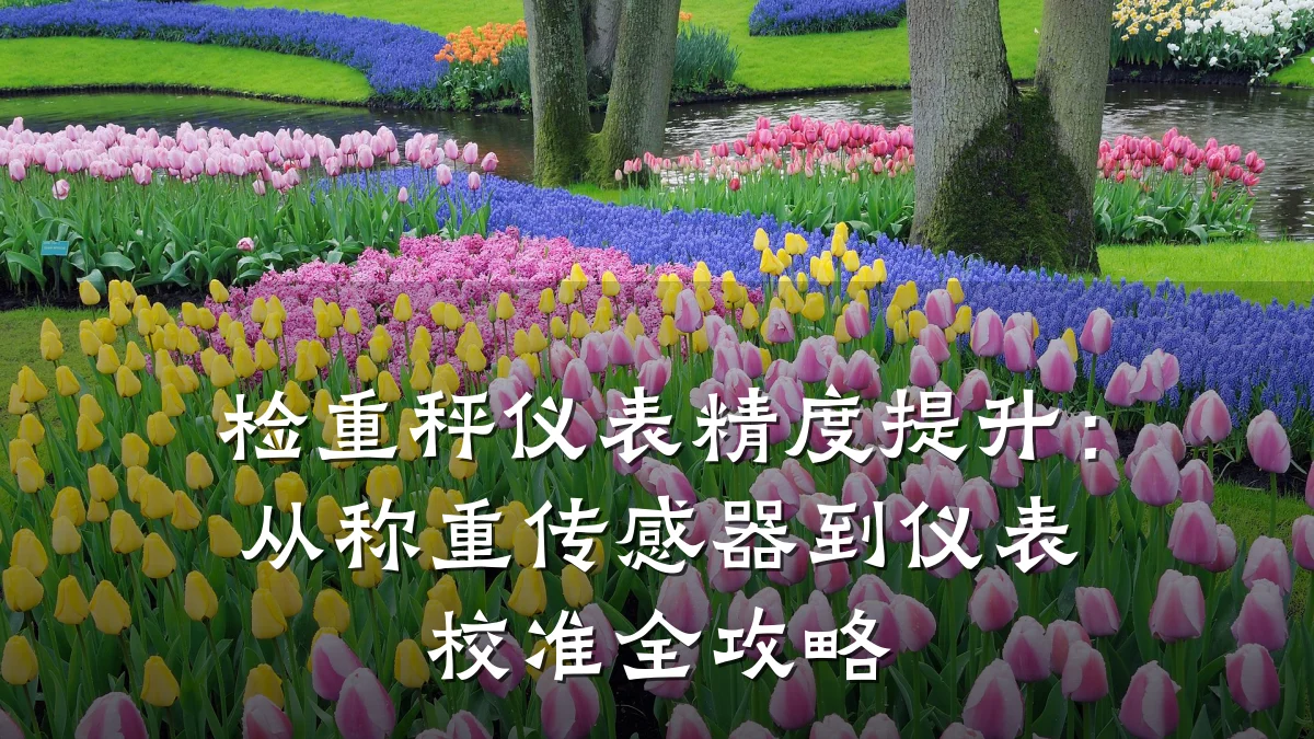 检重秤仪表精度提升:从称重传感器到仪表校准全攻略