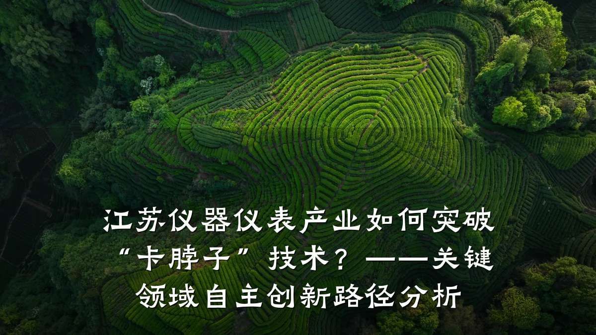 江苏仪器仪表产业如何突破“卡脖子”技术？——关键领域自主创新路径分析