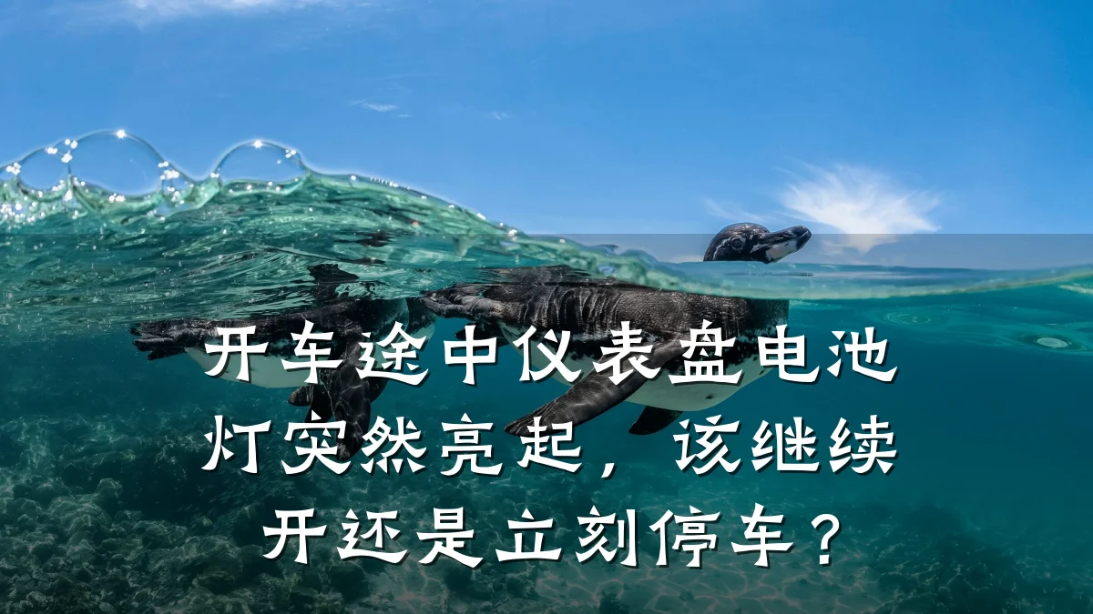 开车途中仪表盘电池灯突然亮起，该继续开还是立刻停车？