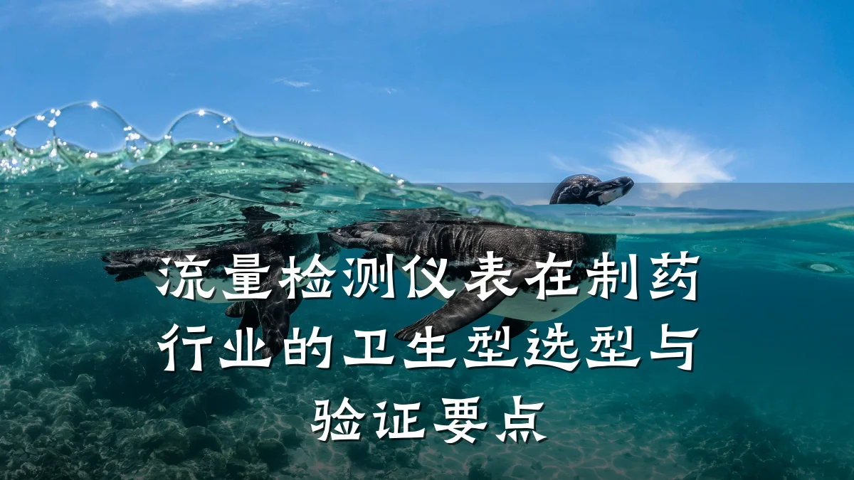 流量检测仪表在制药行业的卫生型选型与验证要点