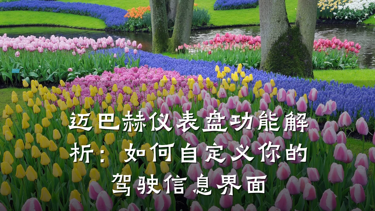 迈巴赫仪表盘功能解析:如何自定义你的驾驶信息界面