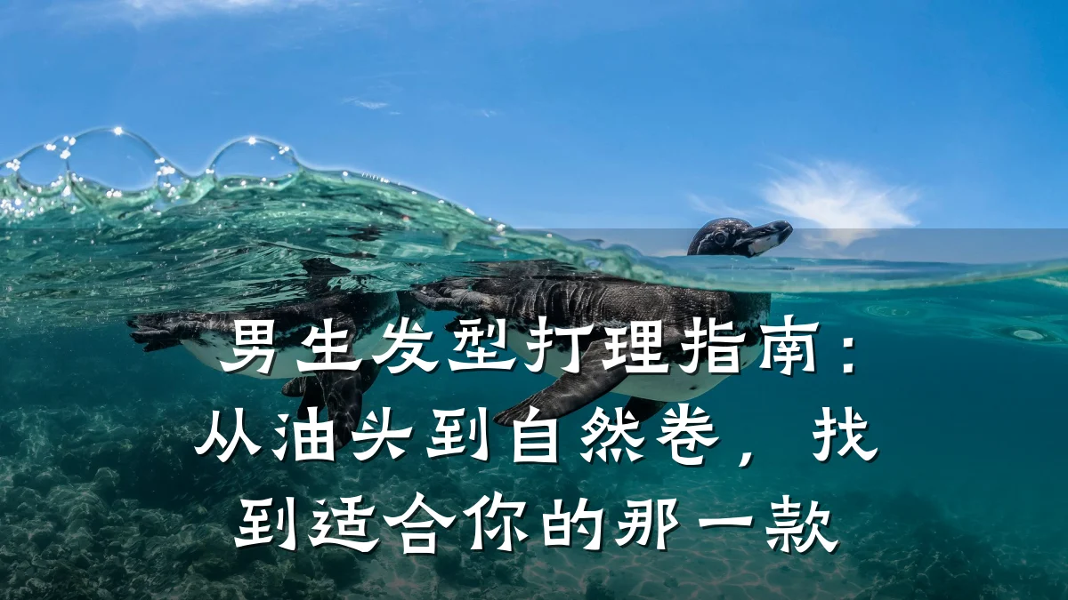 男生发型打理指南:从油头到自然卷,找到适合你的那一款