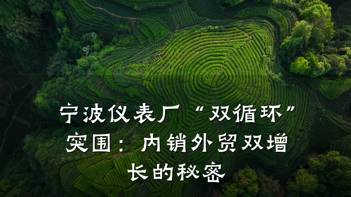 宁波仪表厂“双循环”突围:内销外贸双增长的秘密