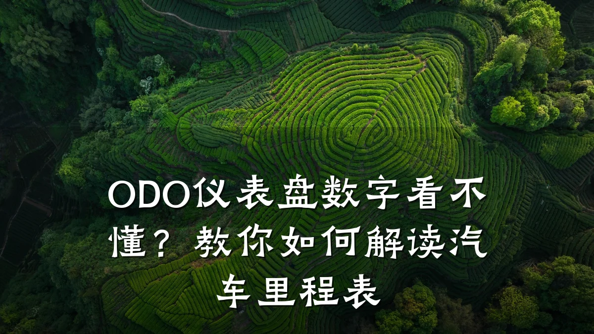 ODO仪表盘数字看不懂？教你如何解读汽车里程表