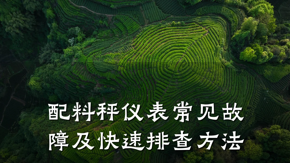 配料秤仪表常见故障及快速排查方法