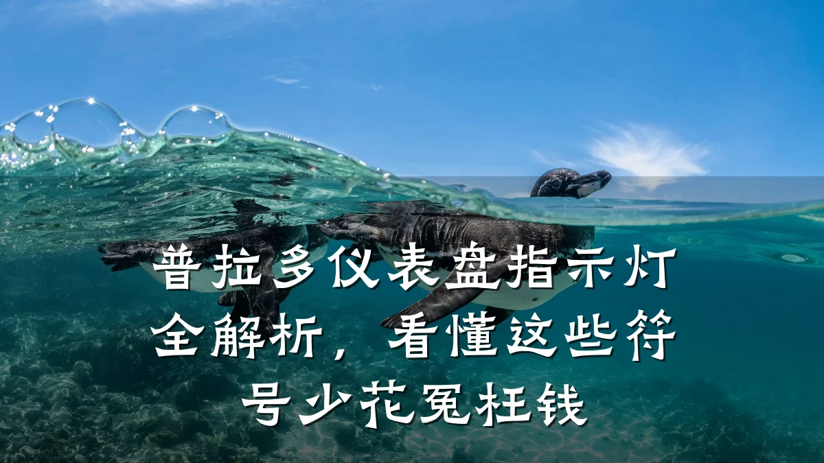 普拉多仪表盘指示灯全解析,看懂这些符号少花冤枉钱