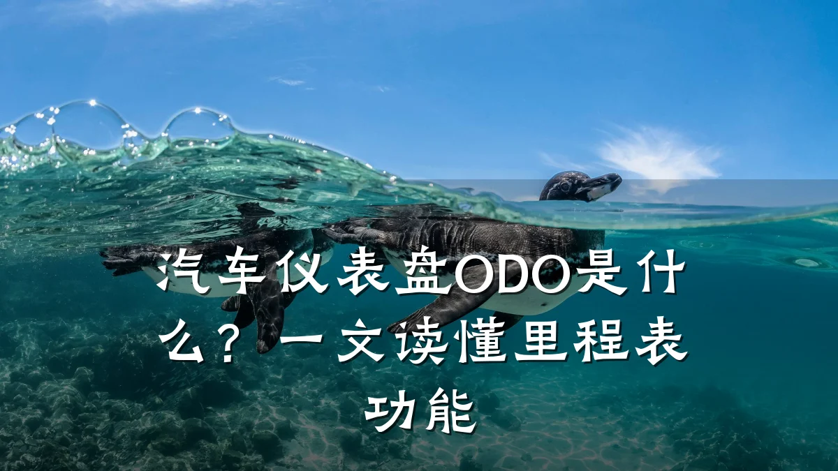 汽车仪表盘ODO是什么？一文读懂里程表功能
