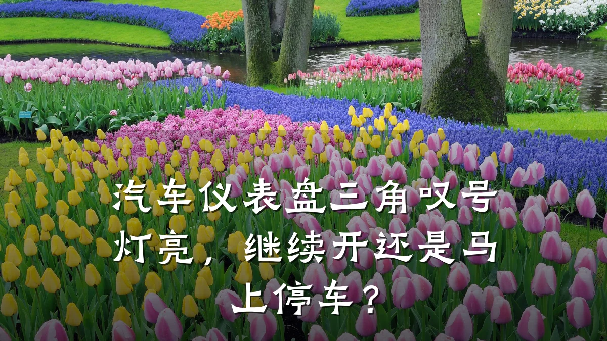 汽车仪表盘三角叹号灯亮,继续开还是马上停车?