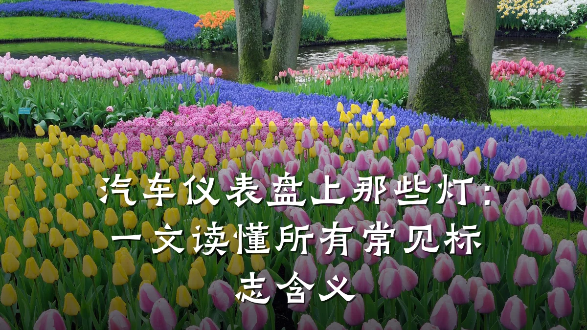 汽车仪表盘上那些灯:一文读懂所有常见标志含义
