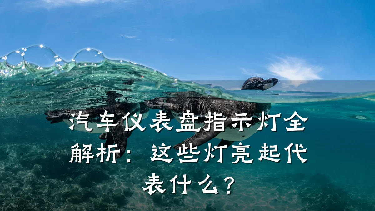 汽车仪表盘指示灯全解析:这些灯亮起代表什么?