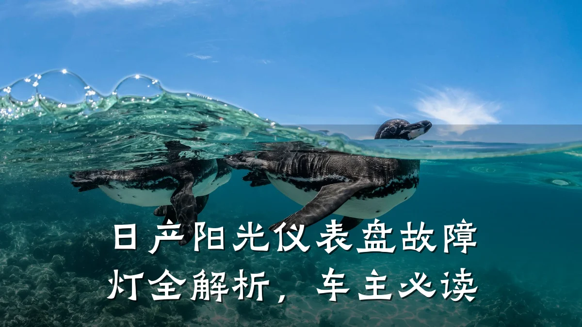 日产阳光仪表盘故障灯全解析,车主必读
