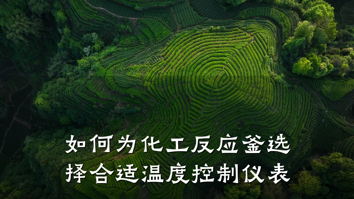 如何为化工反应釜选择合适温度控制仪表