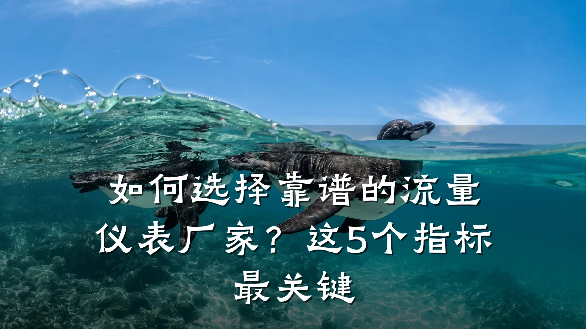 如何选择靠谱的流量仪表厂家？这5个指标最关键