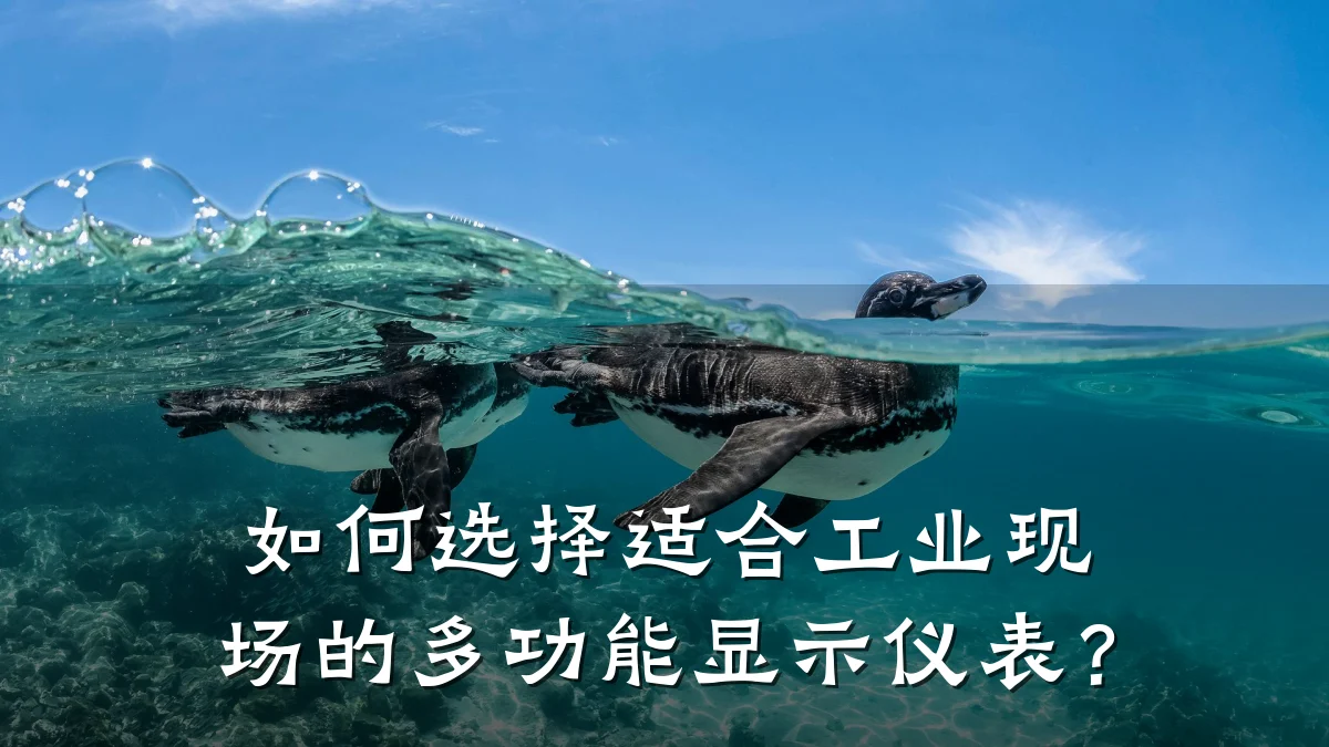 如何选择适合工业现场的多功能显示仪表?
