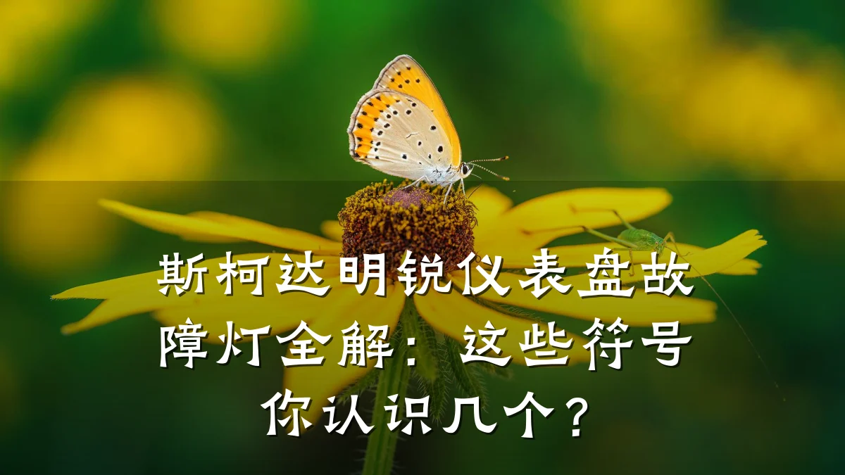 斯柯达明锐仪表盘故障灯全解:这些符号你认识几个?